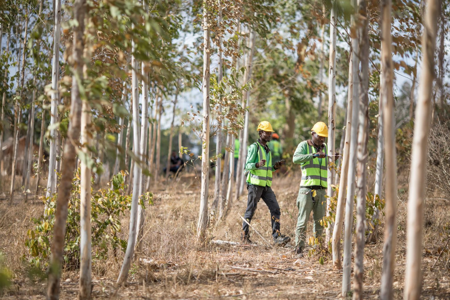 apple_restore-fund_komaza-harvesting_04152021