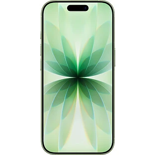 iPhone 17, 256 GB, Зеленый (SIM + eSIM)