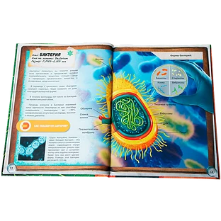 Микромир: энциклопедия в дополненной реальности