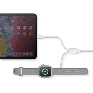 Кабель зарядный EnergEA для Apple Watch GoCharge Deuce 2 in 1 USB-C to C + AW, 1.8м