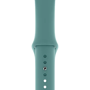 Ремешок APPLE 44мм Sport Band - Regular Sport Band Cactus42/44/45 mm