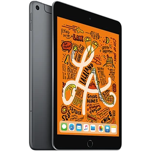 iPad mini 5, 256 ГБ Wi-Fi+Celular 2019, Space Gray