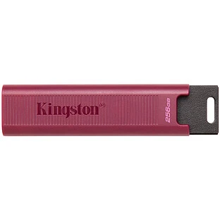 Память ( USB flash ) KINGSTON 256 ГБ